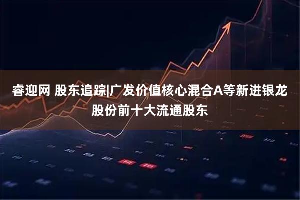 睿迎网 股东追踪|广发价值核心混合A等新进银龙股份前十大流通股东