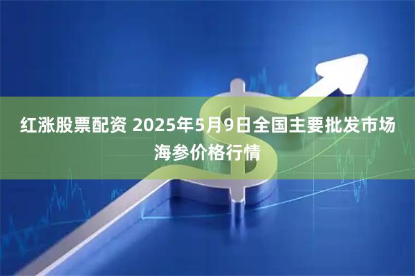 红涨股票配资 2025年5月9日全国主要批发市场海参价格行情
