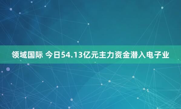 领域国际 今日54.13亿元主力资金潜入电子业