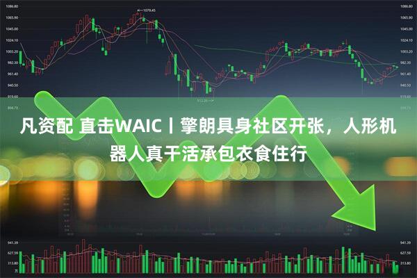 凡资配 直击WAIC丨擎朗具身社区开张,人形机器人真干活承包衣食住行